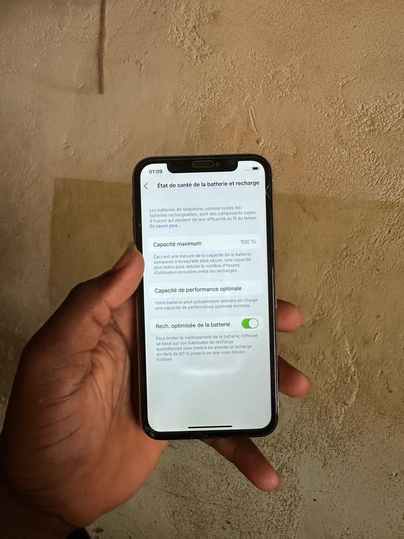 iPhone X 256gb bat 100